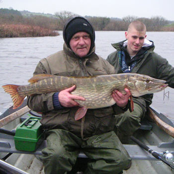 Shreelane Pike Fisherman
