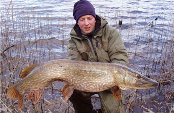 Photo: A typical trout from the Kells Blackwater