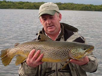 Photo: A typical trout from the Kells Blackwater