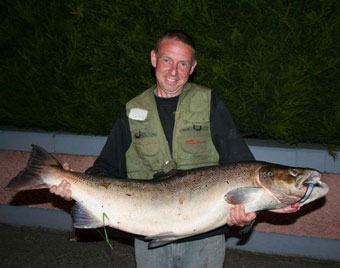 salmon
