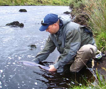 Photo: A typical trout from the Kells Blackwater