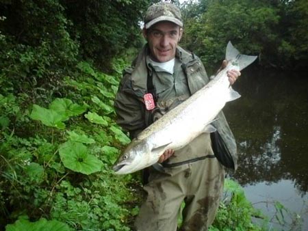 salmon
