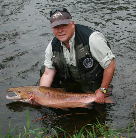 salmon