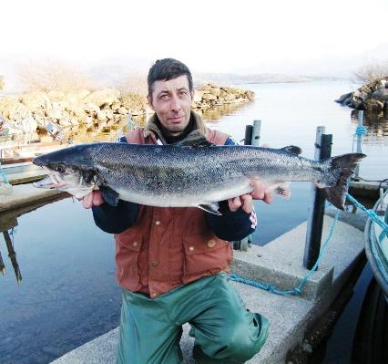 salmon