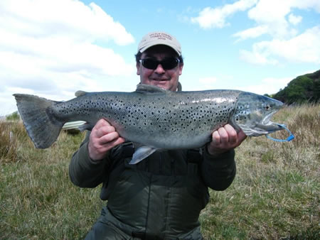 sea trout