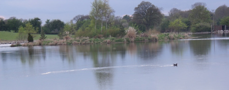 Curragh springs Fishery