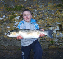 trout