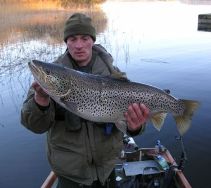 trout
