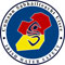 Logo: Irish Water Safety