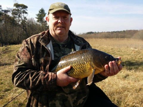 carp