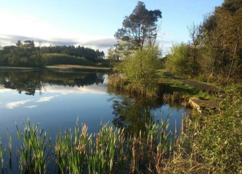 Rathdaire Lake