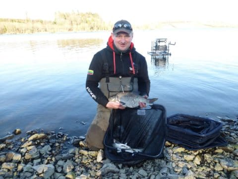 Bream