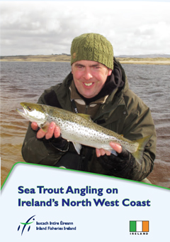 sea trout brochure